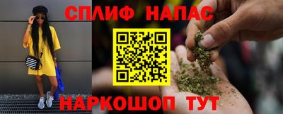 дживик Можга