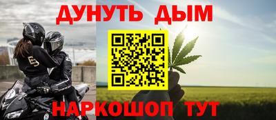 дживик Можга
