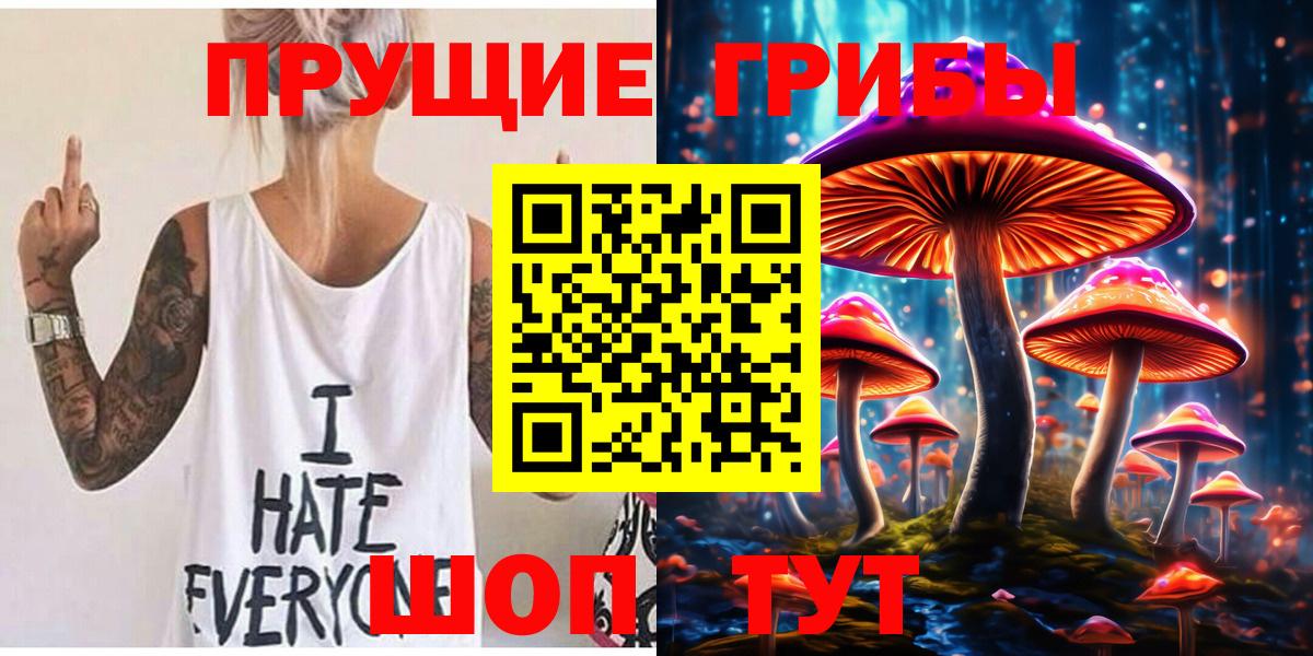 Псилоцибиновые грибы Cubensis Отрадное