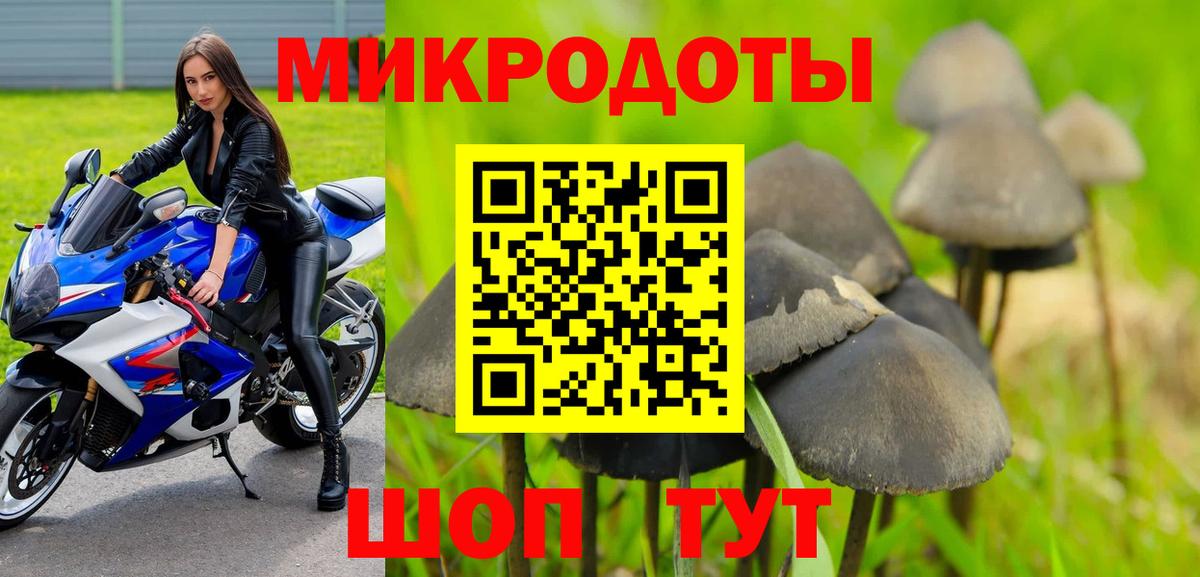 Отрадное  Псилоцибиновые грибы GOLDEN TEACHER  Вход с VPN 